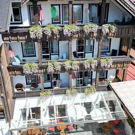 Отель Bergidyll 3*